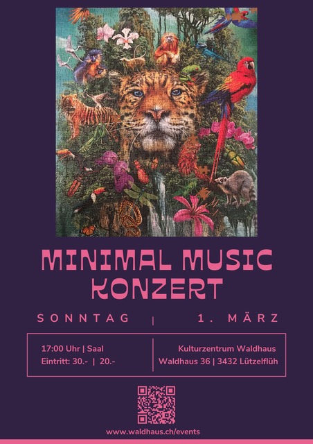 Minimal Music Flyer - 1